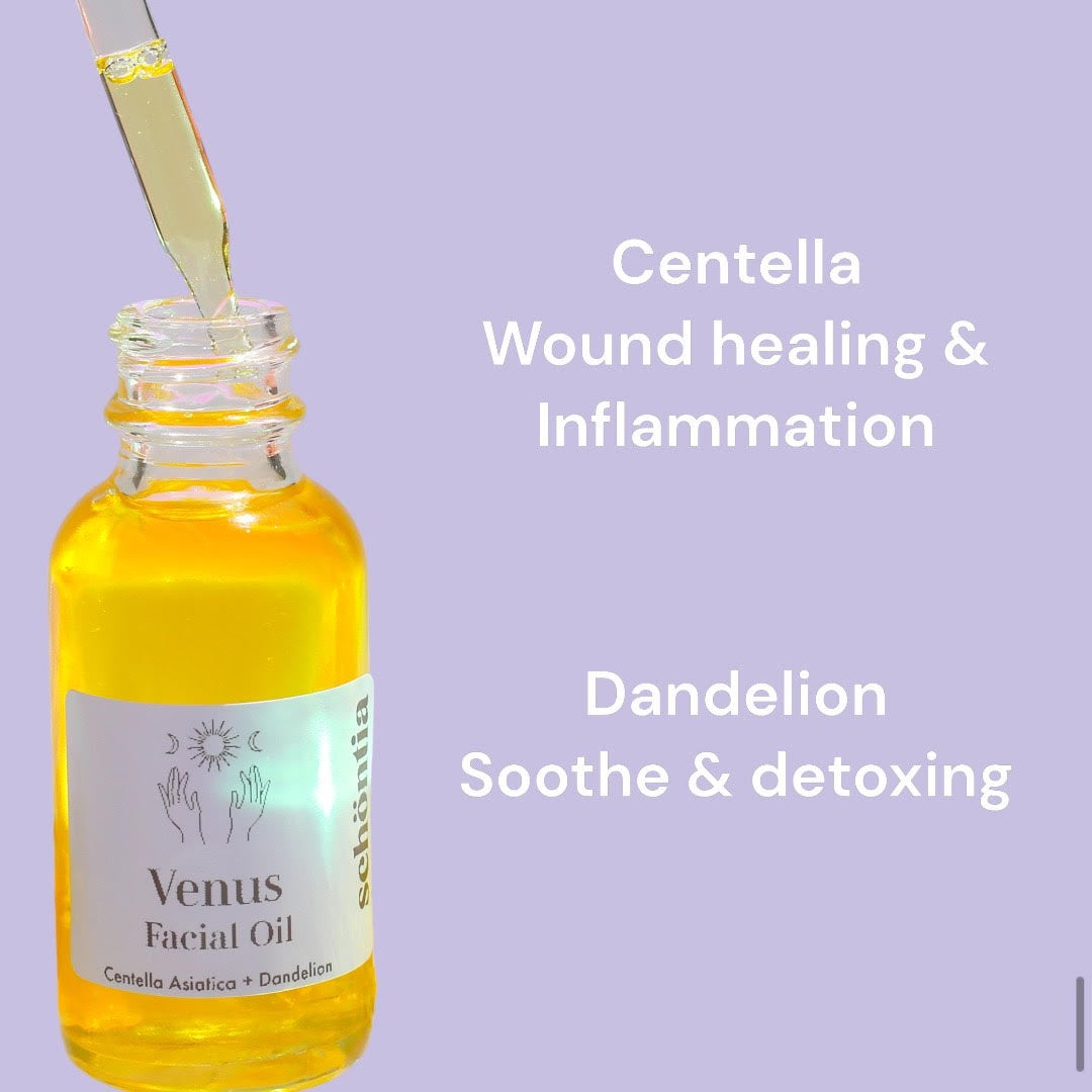 Centella Asiatica + Dandelion Oil- Anti bacterial Face Oil - Organic Face Oil - Hydrate Oil