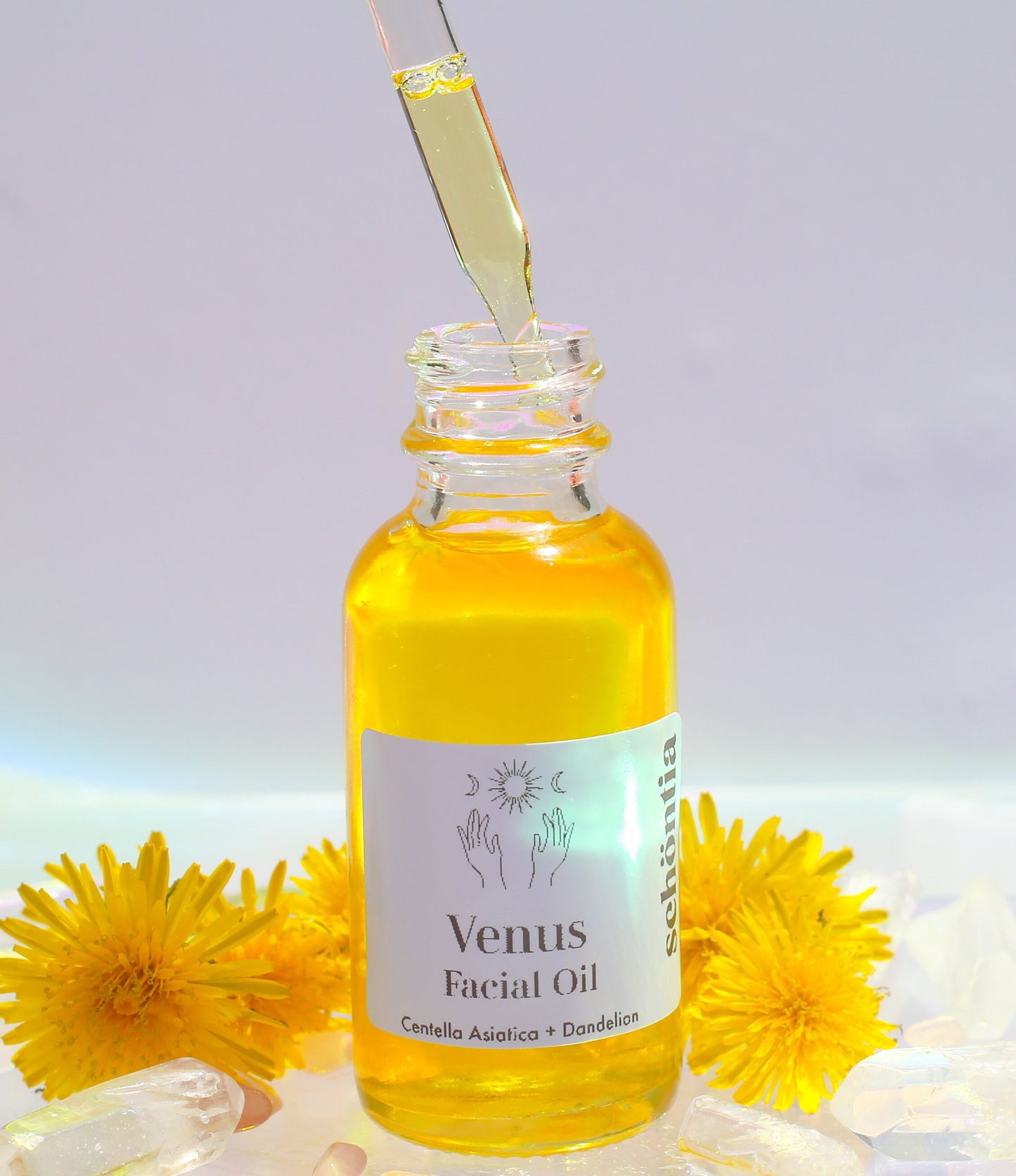 Centella Asiatica + Dandelion Oil- Anti bacterial Face Oil - Organic Face Oil - Hydrate Oil